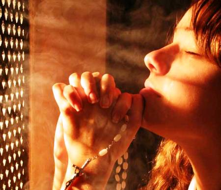 Solucionada la desforestaci�n