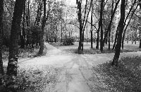 ¿En qué consiste una cadena de iniquidad?