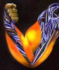 Organos Artificiales