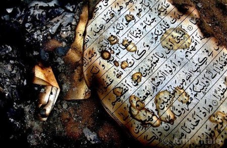 Terry Jones quema el Cor�n